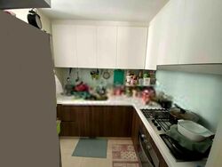 Riversound Residence (D19), Condominium #403103231